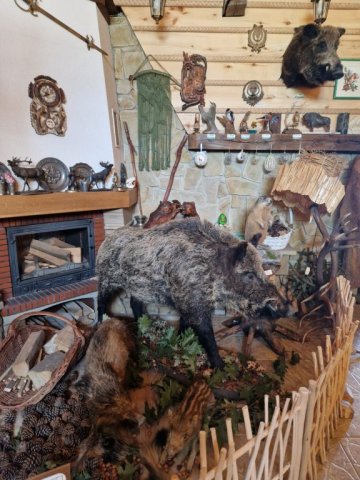 b_1024_768_0_00_images_2022_2023_SKKT_PTTK_rajd_czerwiec_352199291_629755932412647_6464669497206371320_n